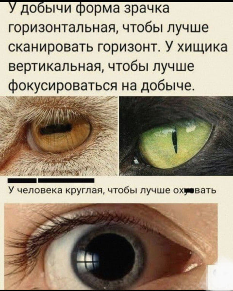   , , , , , 