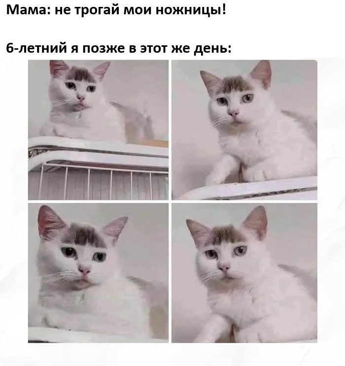  ,   , , , 