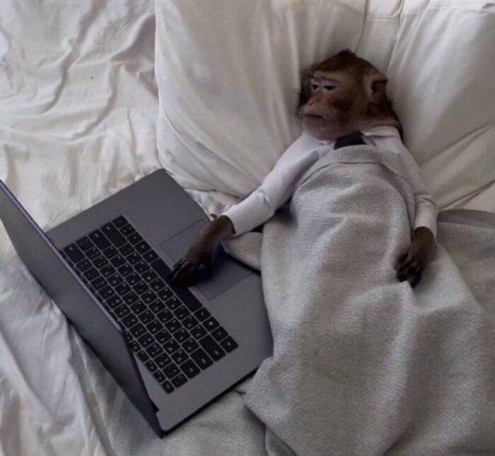 167 серия и спать