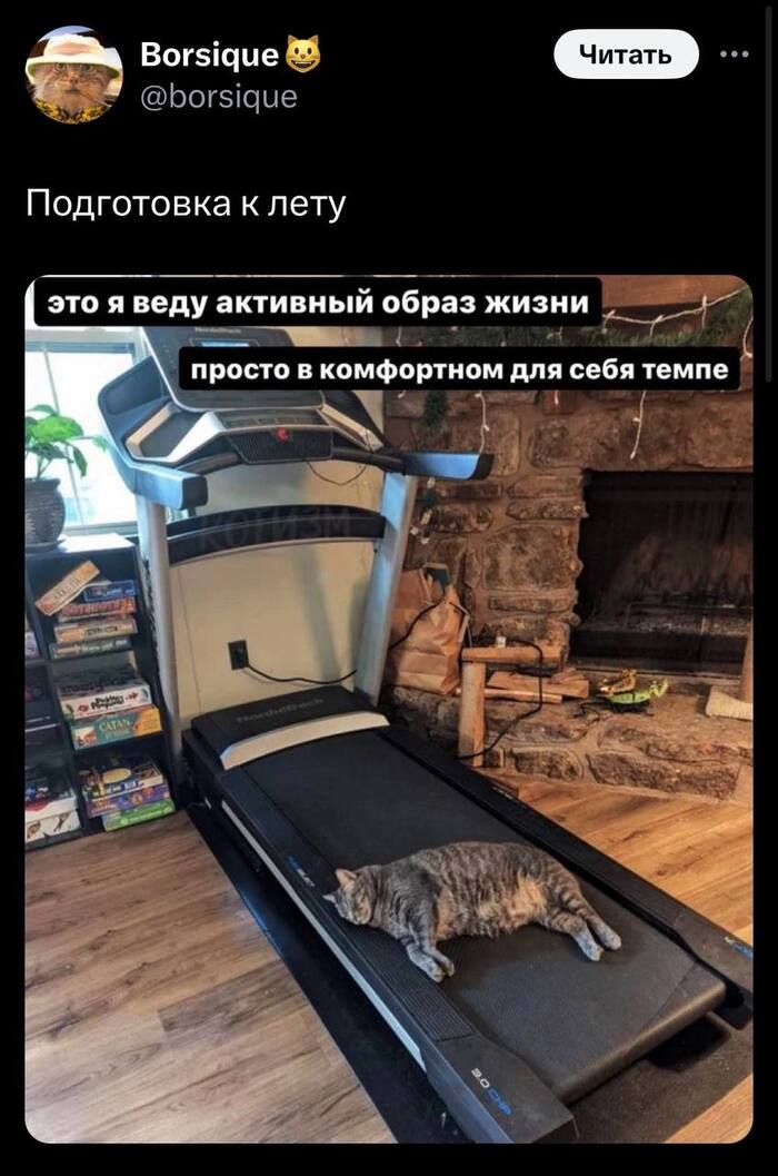   ? , , X (Twitter), , ,  