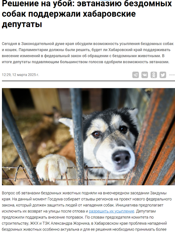 <!--noindex--><a href=