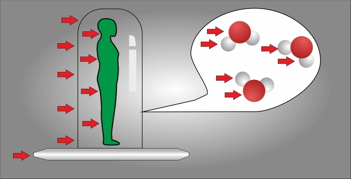 ���������� ��� � ������ �������� ���� � �������. ������� �����������