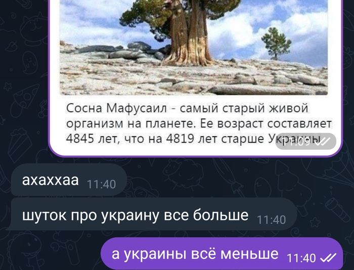 А время идёт