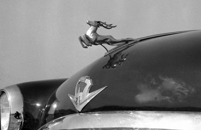  -21,  -21!        !   1955&#x2011;,    ,     . ,      -13.