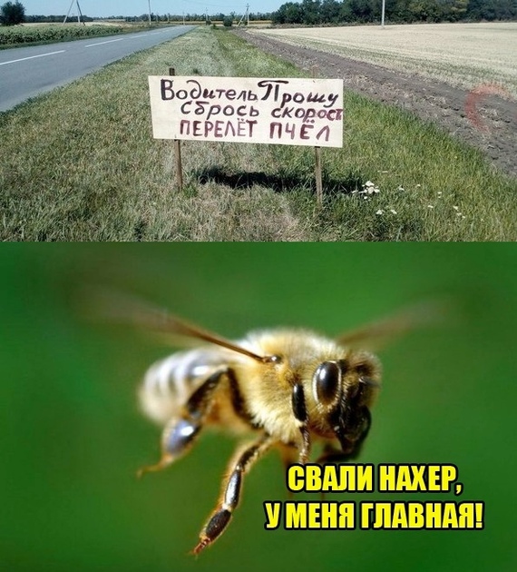    , , , , , 