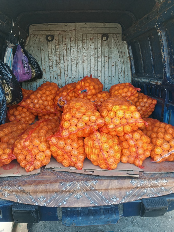 Кому апельсины!? Кому витамины!?