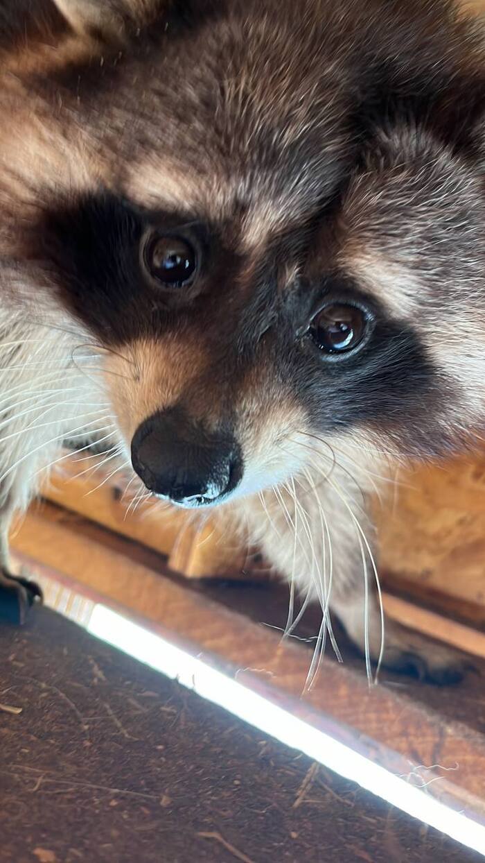 ������ - ������ ����� �� ��� �� ���������, ������� � ������� � ������� ����� � ������. 