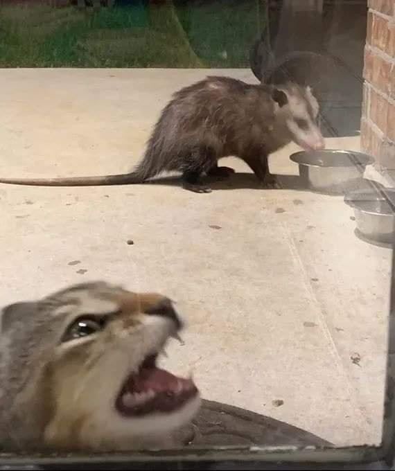 Возмущен самоуправством