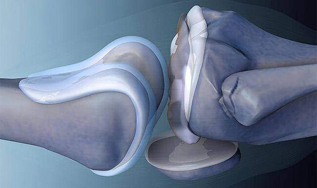  -   3D-   , , , -