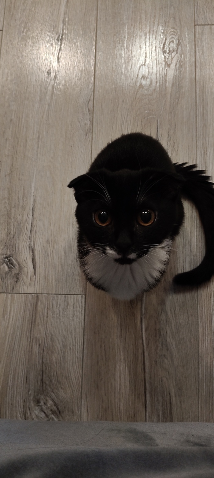 ����� ��� ����