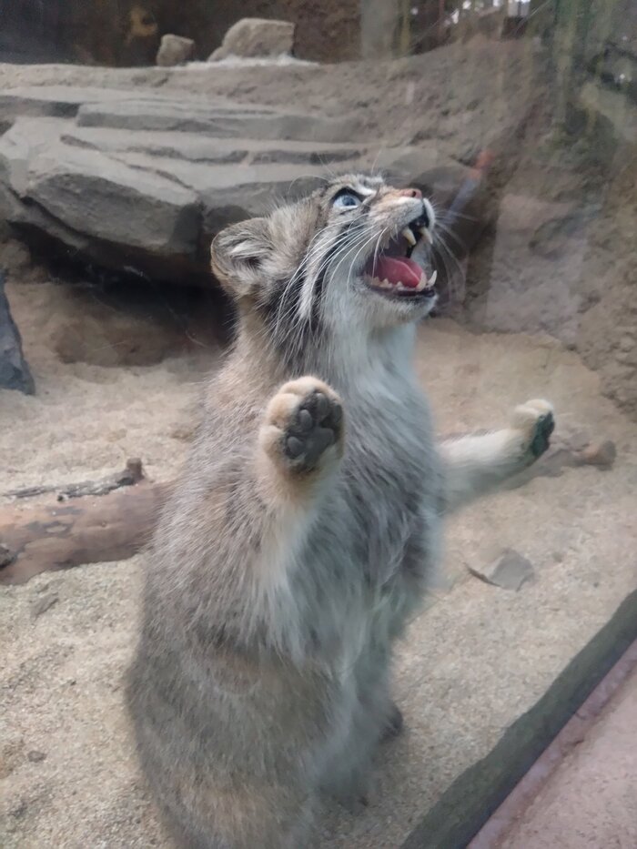 - Ублюдок, мать твою, а ну иди сюда, г*вно собачье, решил ко мне лезть?