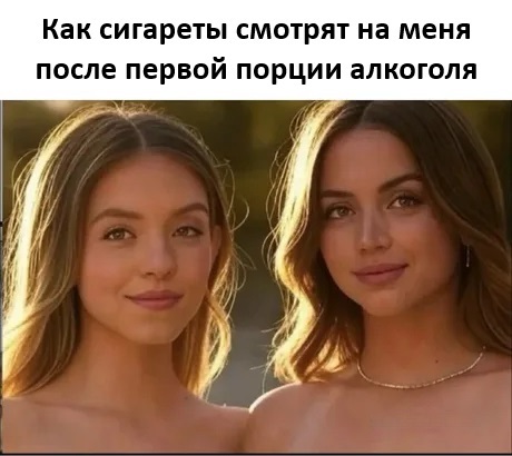   ,   , , ,   ,  , , Telegram ()