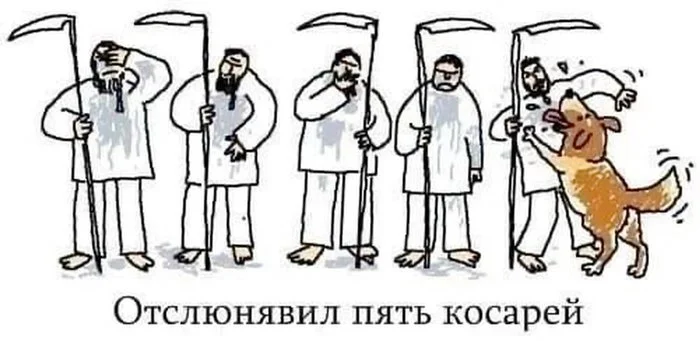 Коси коса - Картинка с текстом, Смерть, Коса, Игра слов