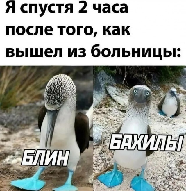?) , ,  , , ,   , 