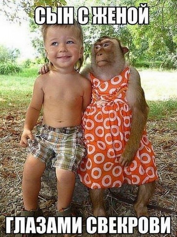 ���, ��� � ������ ������