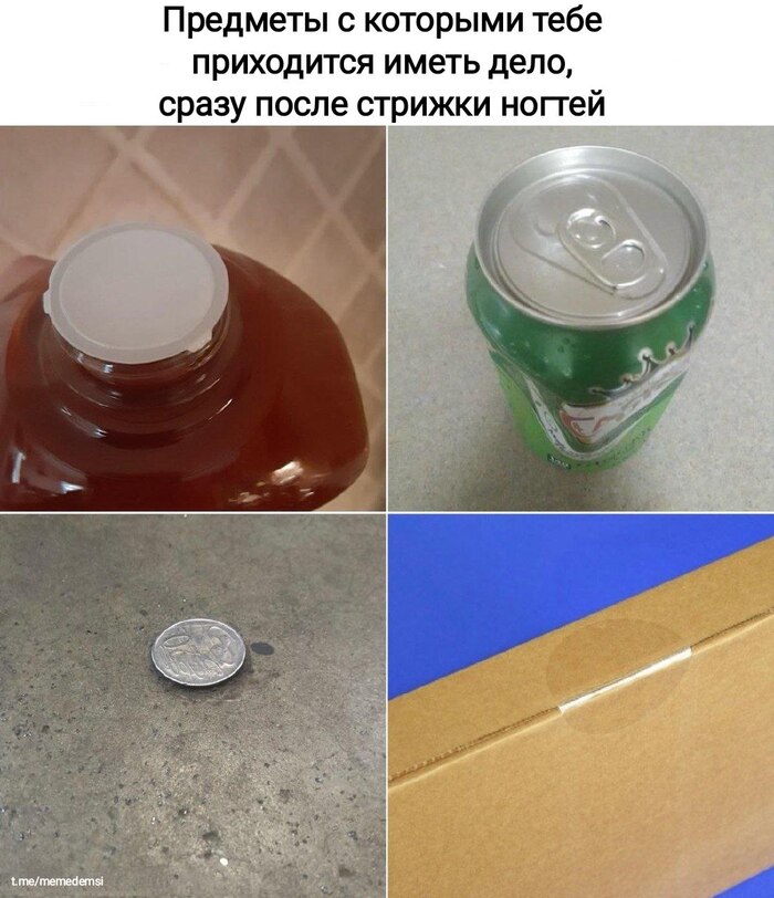   ,   , , , , , Telegram ()