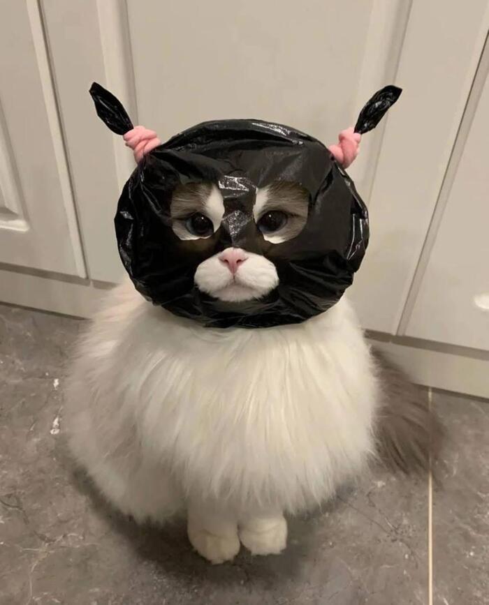 ���� ������, ��� ����������