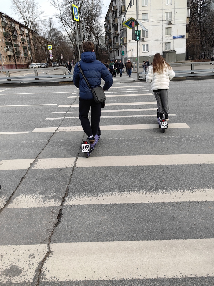 Повылазили вурдалаки