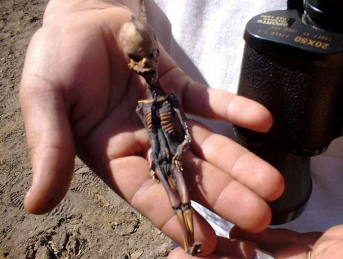 Ещё одна тайна пришельца разгадана! Алёша был не единственный Наука, Научпоп, НЛО, Пришельцы, Ученые, Длиннопост