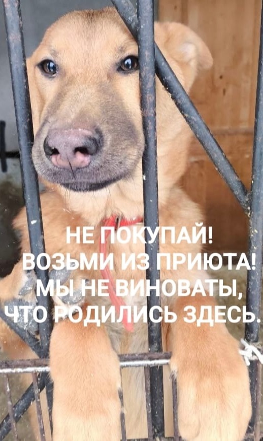          , ,  , , , , ,  ,  , , 