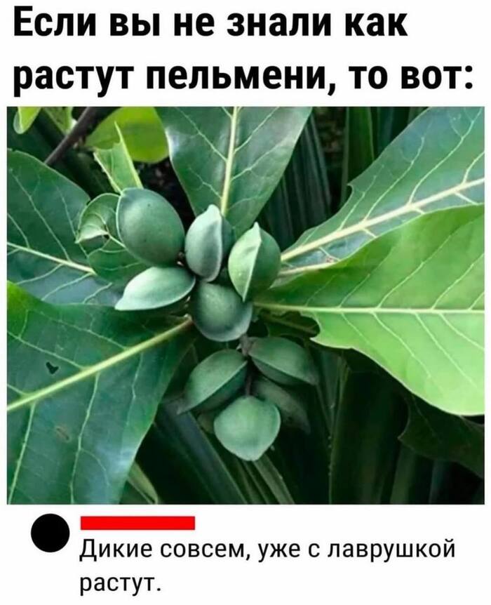  , , , ,   
