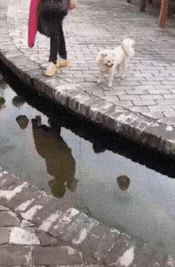   , , , 