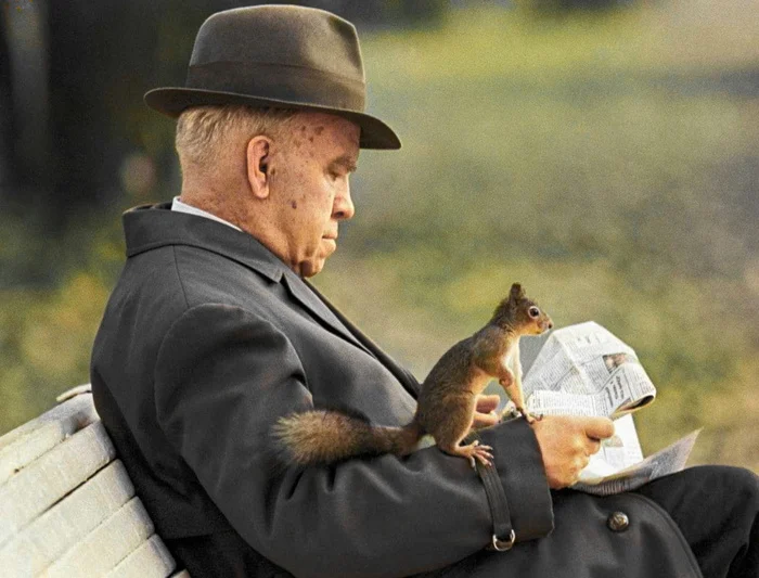 Подборка простых и потрясающих фотографий эпохи СССР. 20 раскрашенных фотографий, Часть XX Старое фото, 20 век, СССР, Сделано в СССР, Детство в СССР, Фотография, 60-е, 70-е, 80-е, 50-е, 40-е, Колоризация, Длиннопост