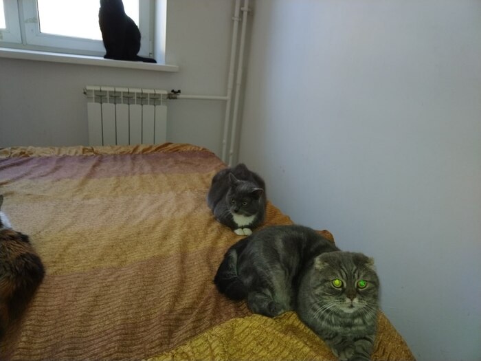 Машка и Фырч