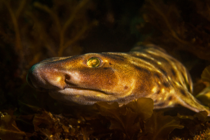 .  ,    .        ,    ...    ?