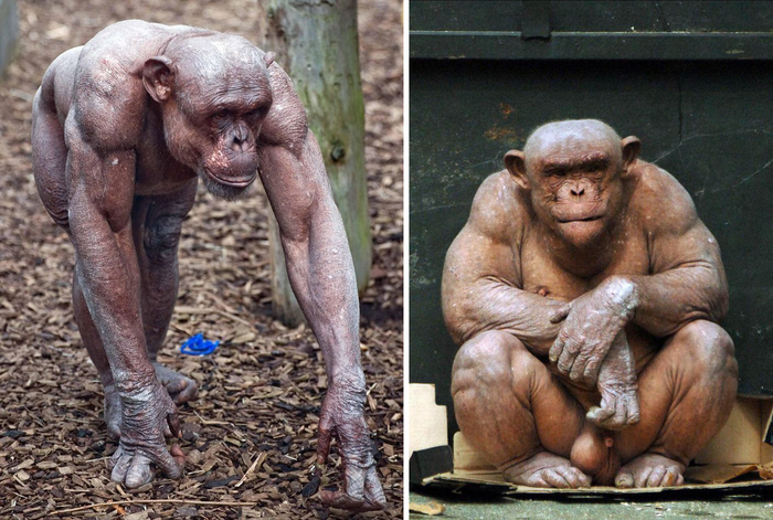   .   . ,     :   -      .