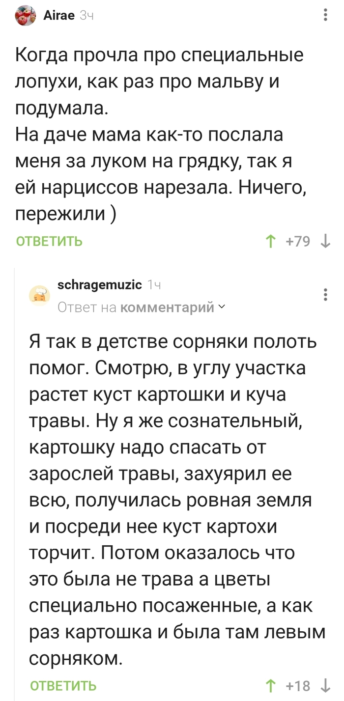Дети на грядке - это может быть опасно!)