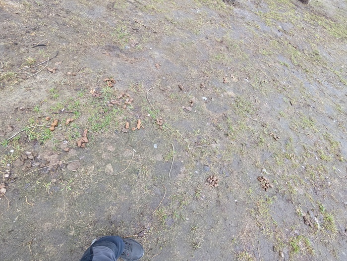 ,  , , 