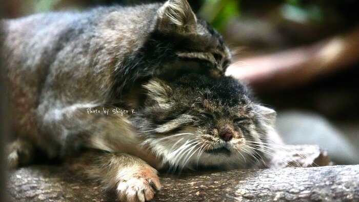 Я и приближающийся понедельник...