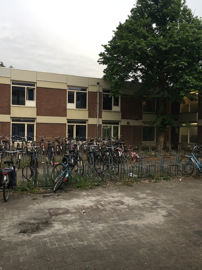 Велосипеды, везде велосипеды