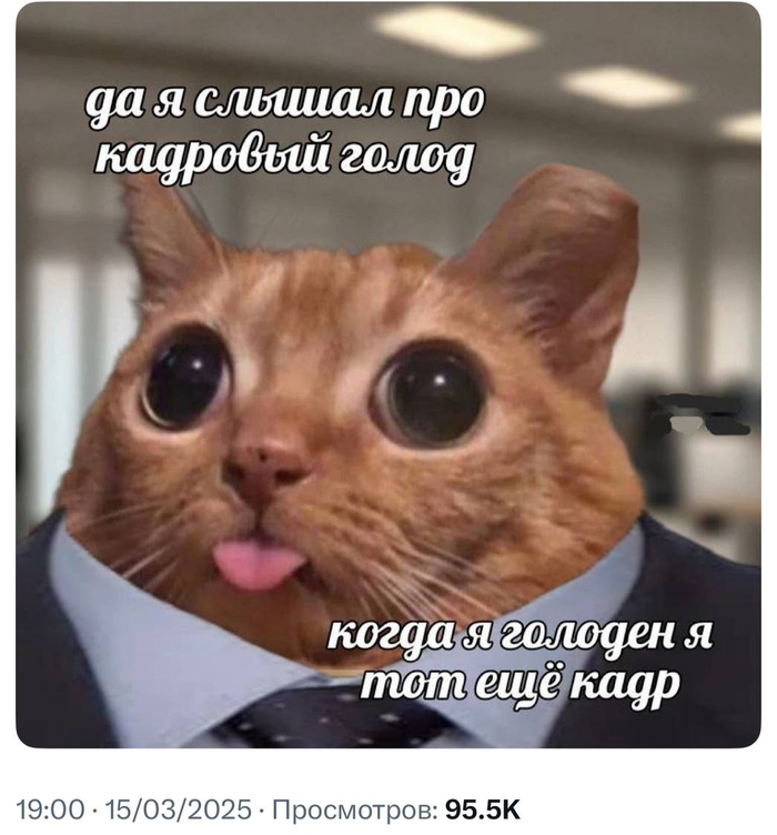   ,  HR,   , 
