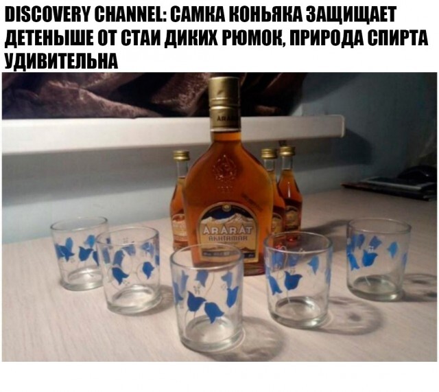   .   , , , , 