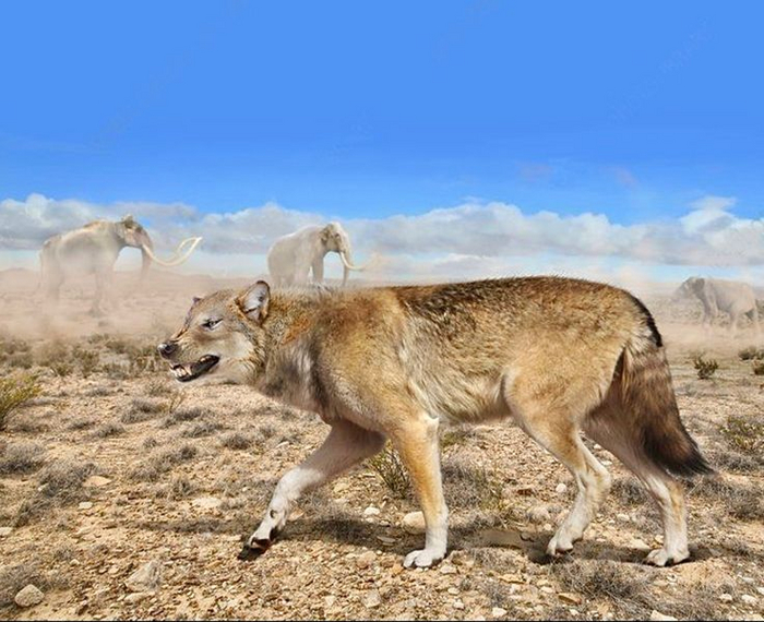   ,           .            ,       .