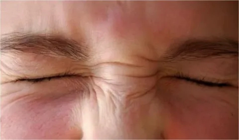   .      , , , , , ,  , , 