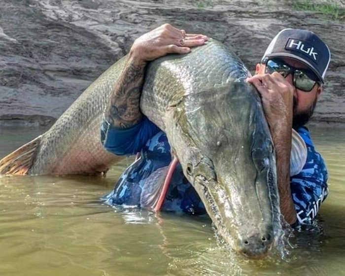 Выносим рыбу из реки, пока она ещё что-нибудь не колонизировала.