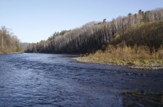 ��� ������ ���� �������, ����� � ����� ���� ��������.