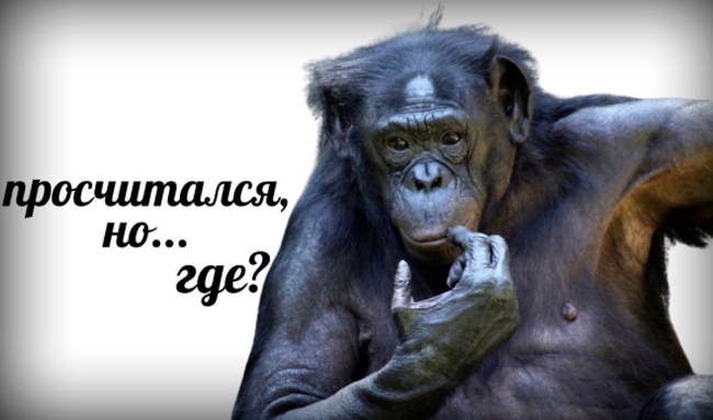 Ответ на пост «Вопрос на Квизе по Гарри Поттеру»