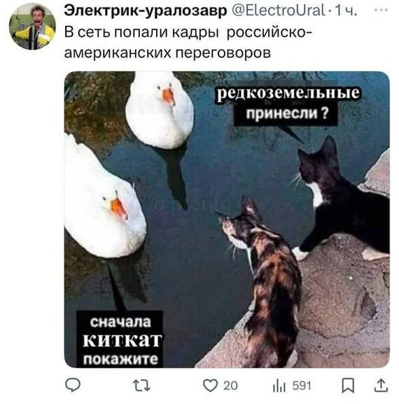  , , , X (Twitter),  , , Telegram ()