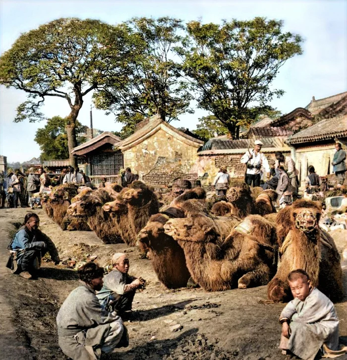 Любопытные фотографии из прошлого стран Азии. 20 раскрашенных фотографий ХХ века. Часть IV Старое фото, Историческое фото, 20 век, Фотография, Азия, Китай, Япония, Таиланд, Вьетнам, Колоризация, Длиннопост