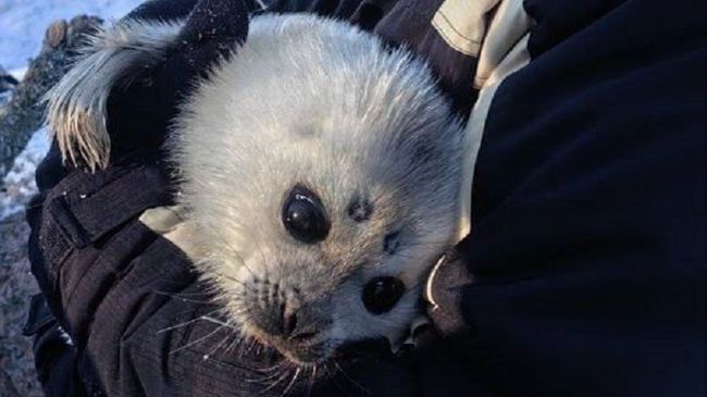 Официальный канал ГУП "Водоканал Санкт-Петербурга".