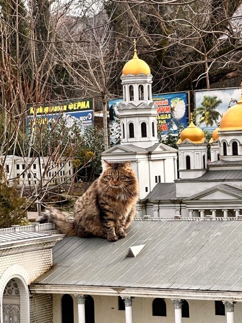 �������� ���� ����� � �����������