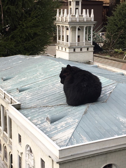 �������� ���� ����� � �����������