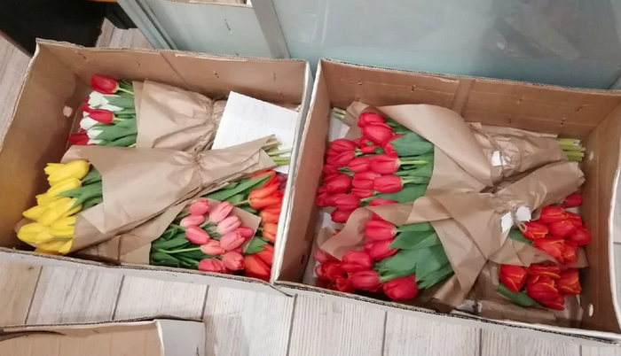 Вот таких 10 коробок. Моя однушка утопала в цветах. Утром просыпался как принцесска:)