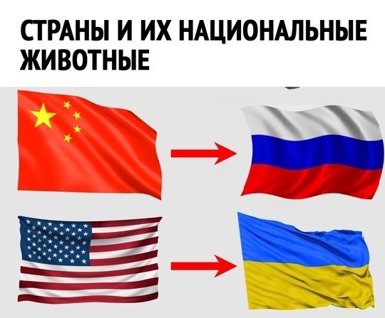      , ,   , , , , ,   