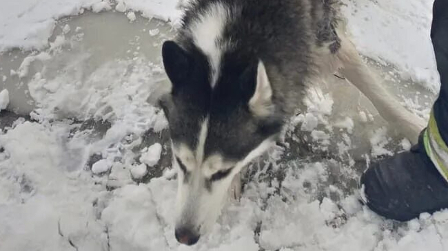 Фото: Леноблпожспас