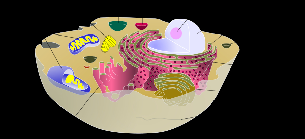     - life science,     , , , ,   ,  , 